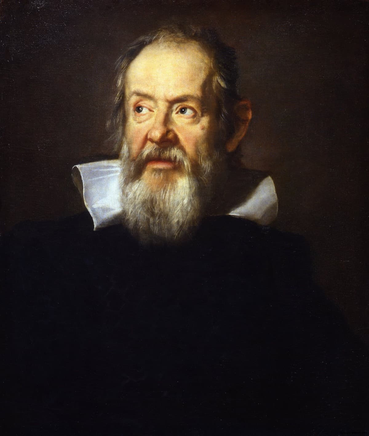Galileo and the Museo Galileo — image 1