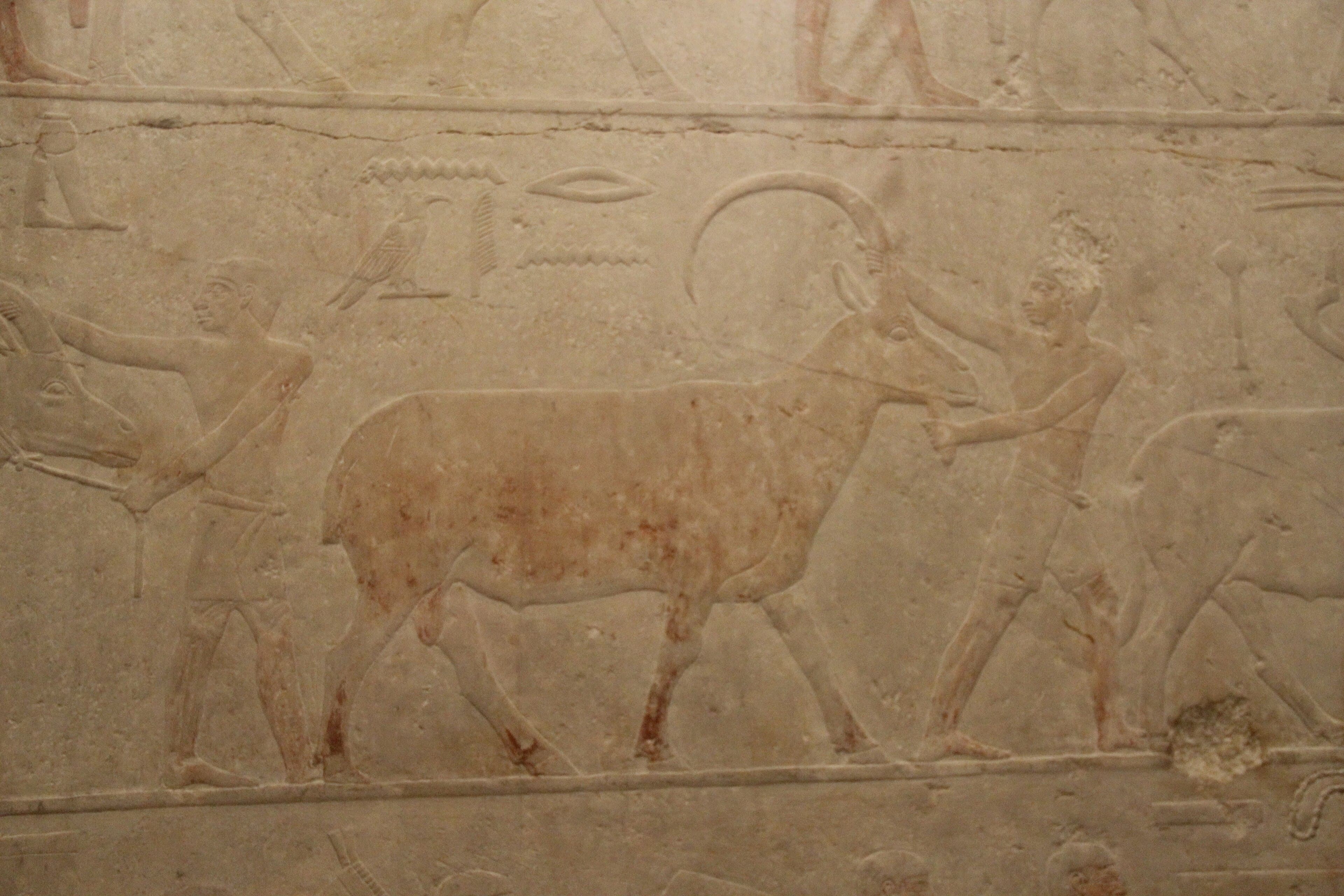 Mastaba Chapel of Akhethotep — image 2