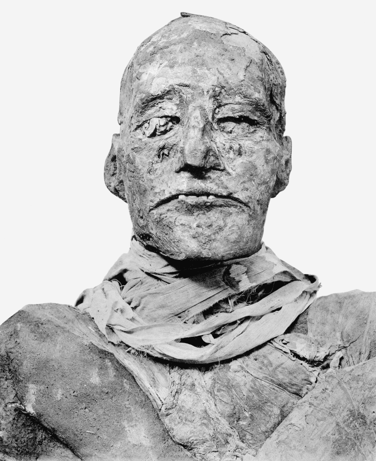 Sarcophagus of Ramesses III — image 3