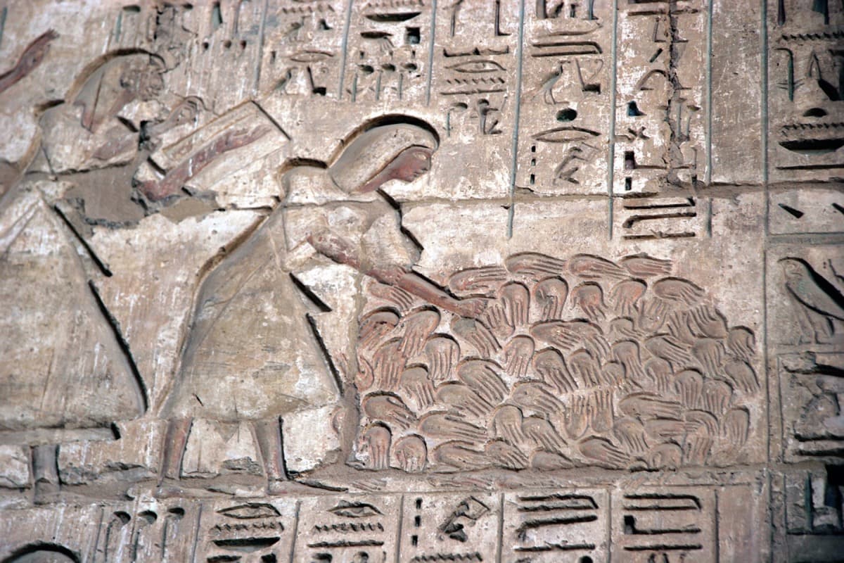 Sarcophagus of Ramesses III — image 4