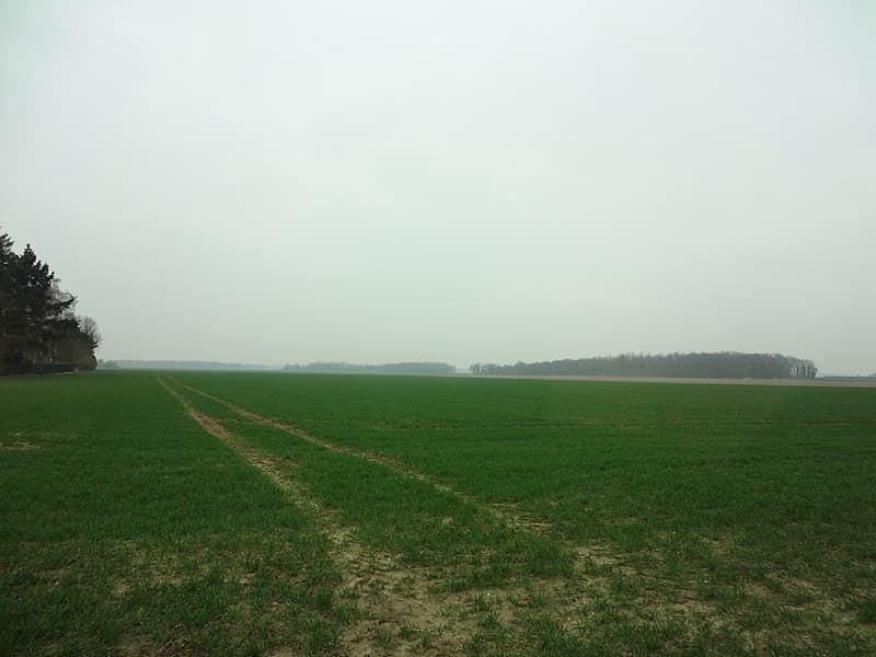 The Angelus — image 2