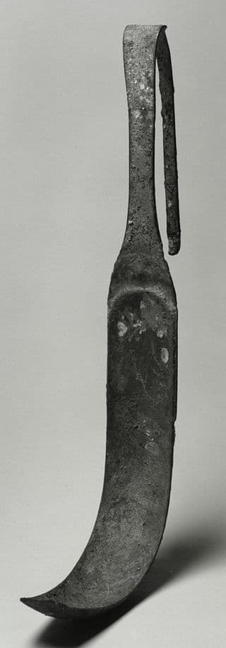 Stabian Baths — image 1