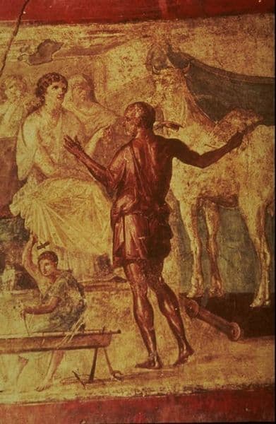 House of the Vettii — image 8