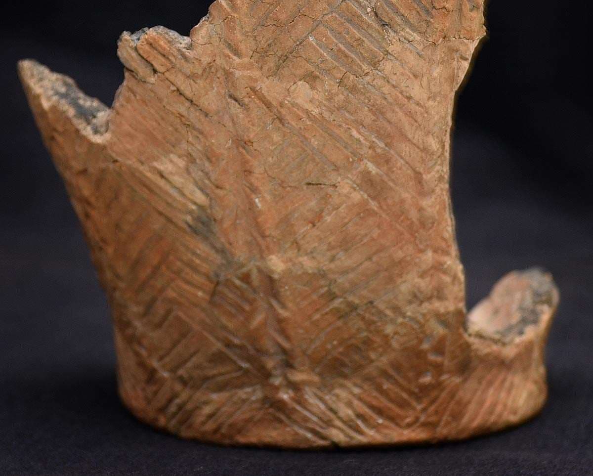 Durrington Walls - The builders' settlement — image 8