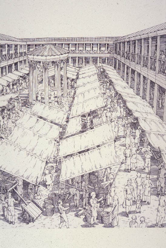 Fish and Meat Market — image 3