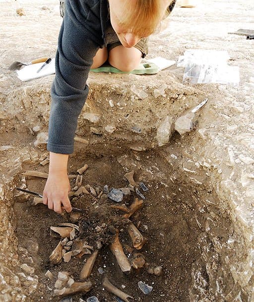 Durrington Walls - The builders' settlement — image 9