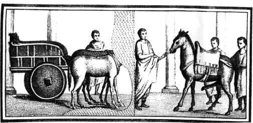 House of Julia Felix — image 9