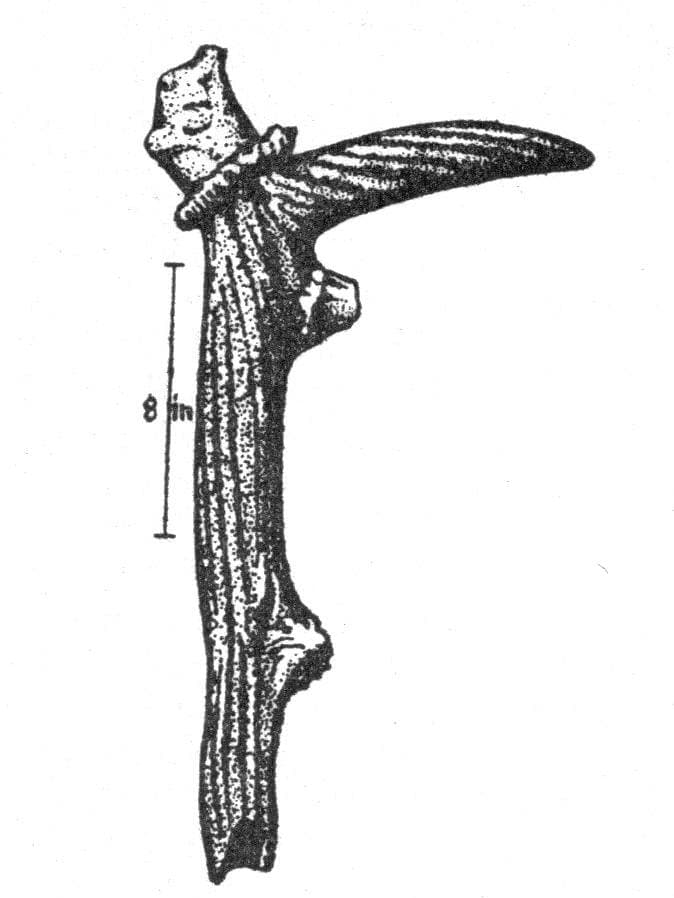 Durrington Walls - The builders' settlement — image 5