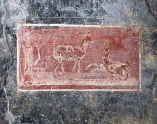 House of the Vettii — image 9