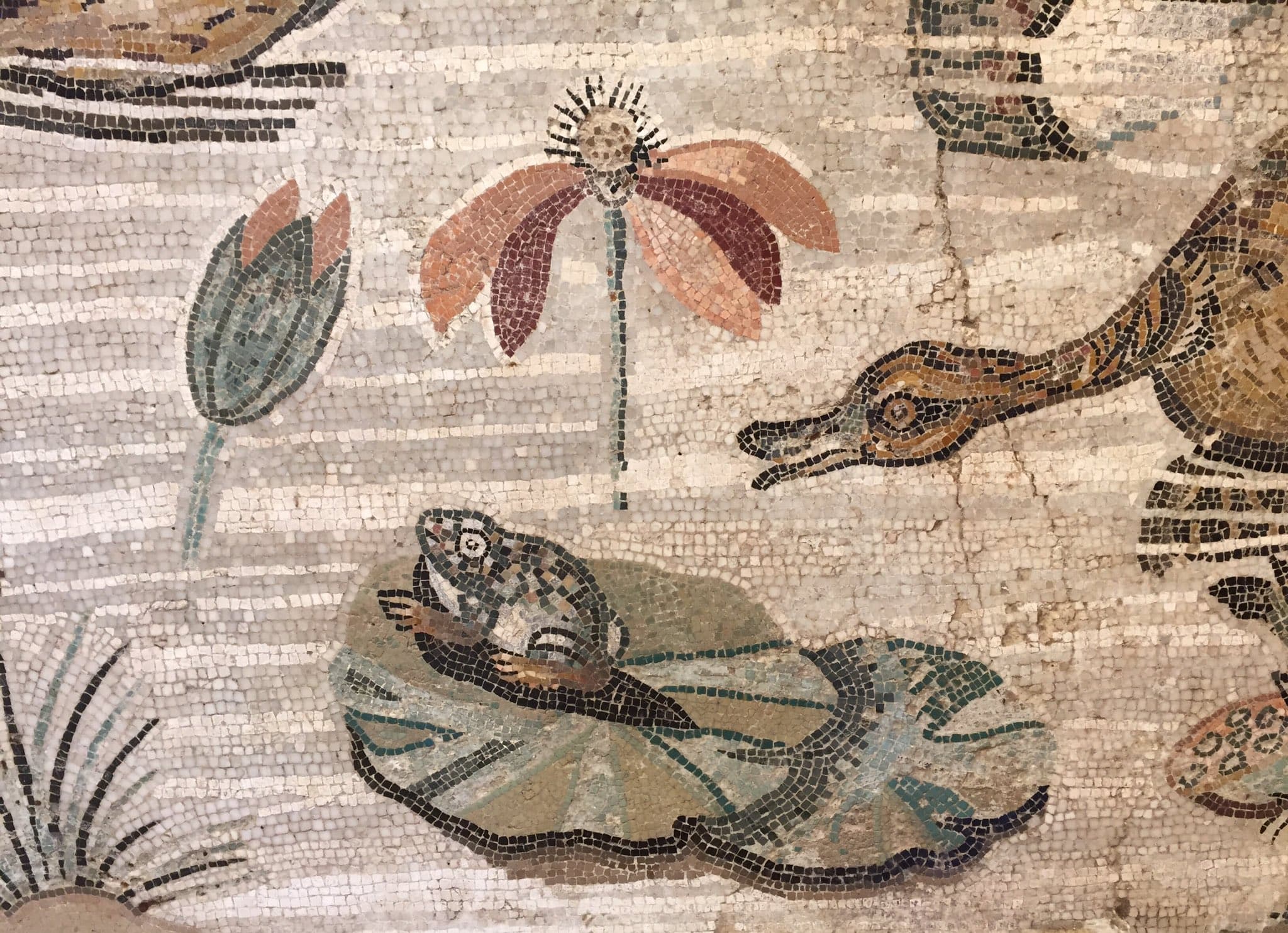 House of the Faun — image 4